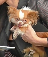 Filename=20.jpg
Filesize=821KiB
Dimensions=2000x1333
Date added=Feb 23, 2025 20.jpg