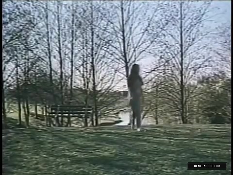 211.jpg