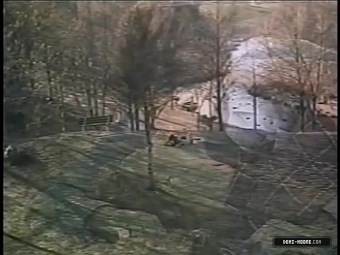 308.jpg