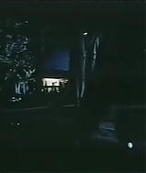 135.jpg