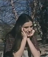 181.jpg