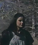 204.jpg