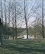 215.jpg