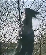 226.jpg