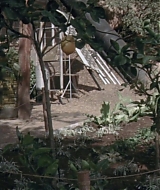 190.jpg