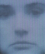 2405.jpg