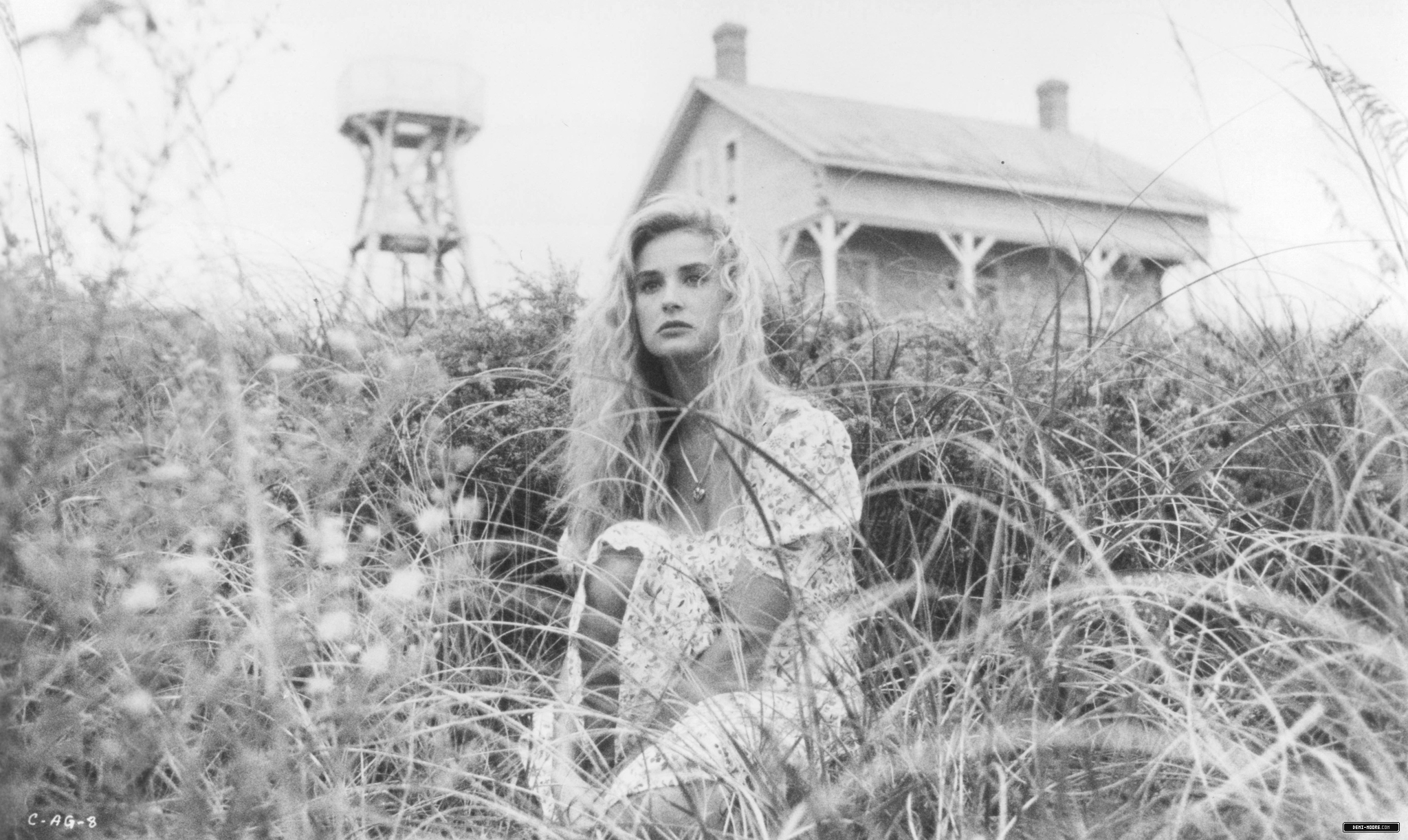03.jpg