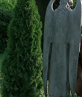 1650.jpg