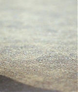 171.jpg