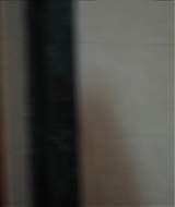 0067.jpg