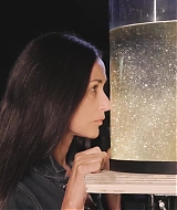 136.jpg