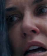 1133.jpg