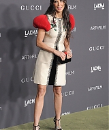 203.jpg