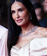 255.jpg